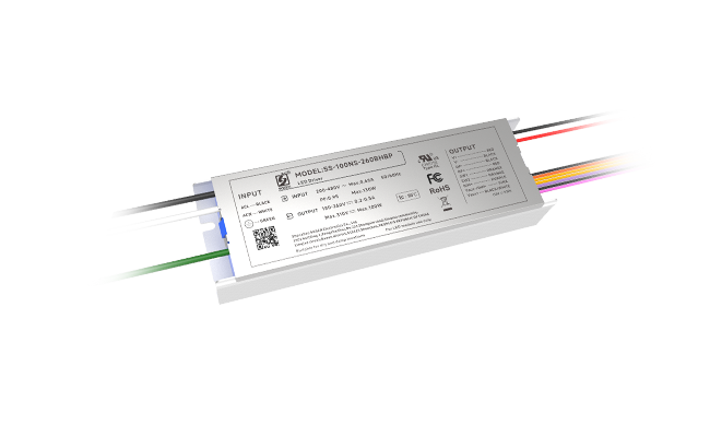 SS-100NS-260* 