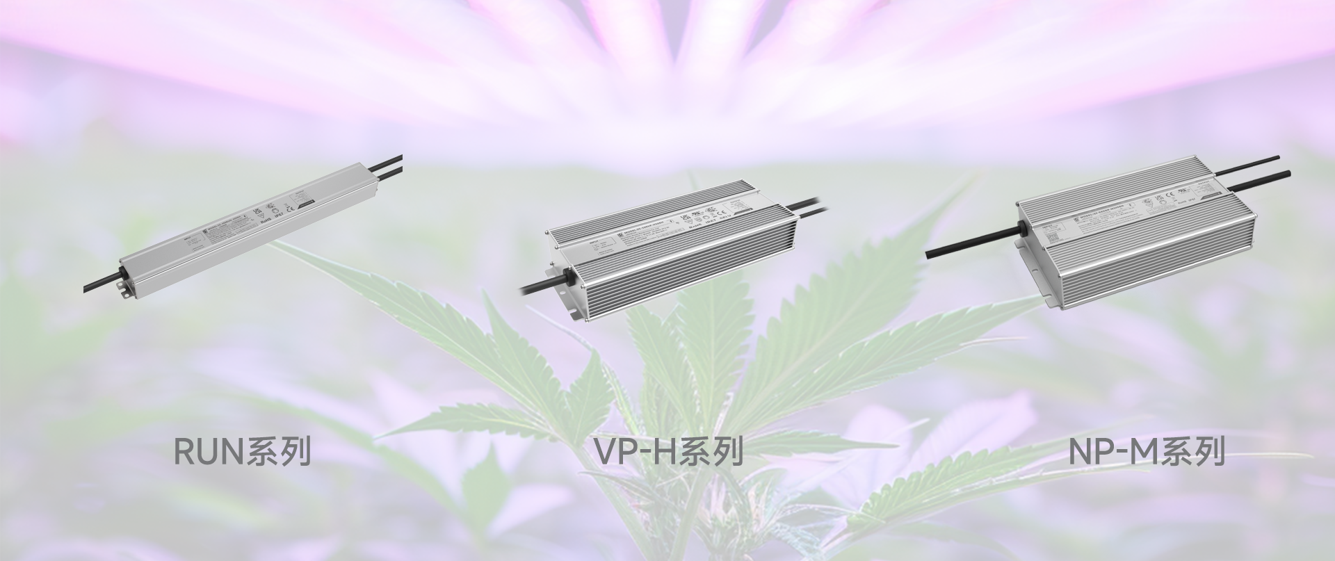 首页- 不朽情缘电子游戏官网